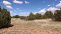 Beautiful tree filled (.51 acres) lot with both lake and golf for sale in Show Low Arizona Navajo County County on GolfHomes.com