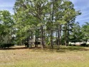 Beautiful lot nestled in the heart of St James Plantation! Low for sale in Southport North Carolina Brunswick County County on GolfHomes.com