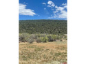 Cedaredge Golf Course Lot For Sale for sale in Cedaredge Colorado Delta County County on GolfHomes.com