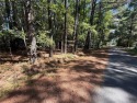 Welcome to Indian Creek Estates, a charming waterfront-access for sale in Kilmarnock Virginia Lancaster County County on GolfHomes.com