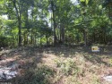 Three (3) Great building lots in a great location. Always wanted for sale in Cherokee Village Arkansas Fulton County County on GolfHomes.com