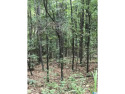 Lot is available as is or may be combined with adjoining lot(s) for sale in Alpine Alabama Talladega County County on GolfHomes.com