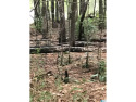 If golf is your passion, this lot is easy access to club or for sale in Alpine Alabama Talladega County County on GolfHomes.com
