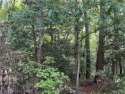 This is your chance to own a wooded DOUBLE lot in the Tanglewood for sale in Bracey Virginia Mecklenburg County County on GolfHomes.com