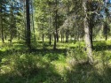 Nicely treed building lot in Western Montana! Lot is located in for sale in Saint Regis Montana Mineral County County on GolfHomes.com