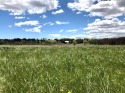 This 4 acre parcel is one of the prettiest lots in Meadow View for sale in Cedarburg Wisconsin Washington County County on GolfHomes.com