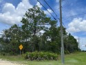 Beautiful 0.51+/- acre Corner lot in the Highly Desirable Royal for sale in Weeki Wachee Florida Hernando County County on GolfHomes.com
