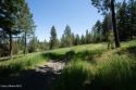 Beautiful 5 acre treed parcel four miles from Circling Raven for sale in Worley Idaho Kootenai County County on GolfHomes.com