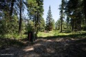 Beautiful 20 acre treed parcel four miles from Circling Raven for sale in Worley Idaho Kootenai County County on GolfHomes.com