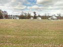 Build your dream home here in Oak Terrance Resort/ Beyers Lake for sale in Pana Illinois Shelby County County on GolfHomes.com