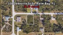 ADJACENT LOT ALSO AVAILABLE! LOCATION LOCATION LOCATION! for sale in Palm Bay Florida Brevard County County on GolfHomes.com