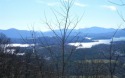 BIG LAKE CHATUGE VIEWS PLUS LUXURY GOLF COURSE LIVING IN THE for sale in Hayesville North Carolina Clay County County on GolfHomes.com