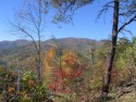 Build your dream home on this beautiful wooded lot with view of for sale in Canton North Carolina Haywood County County on GolfHomes.com