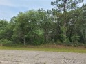 Wonderful Lot With .28 Acres Of Land. Peaceful Area. Lot Is for sale in Citrus Springs Florida Citrus County County on GolfHomes.com
