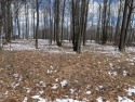 Golf course lot with approximately 300 ft of shared access to for sale in Houghton Lake Michigan Roscommon County County on GolfHomes.com