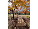  Ad# 6257336 golf course property for sale on GolfHomes.com