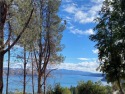 Stunning LAKE VIEWS with water meter paid for, on hold and soils for sale in Kelseyville California Lake County County on GolfHomes.com