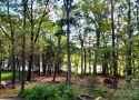  Ad# 6561503 golf course property for sale on GolfHomes.com