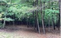 Great building lot with 3.06 acres. Spring fed stream on back of, Georgia