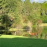  Ad# 6149743 golf course property for sale on GolfHomes.com