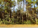 GORGEOUS GOLF FRONT LOT IN OLDE POINT**

Escape to the serene for sale in Hampstead North Carolina Pender County County on GolfHomes.com