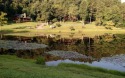 Ad# 4219860 golf course property for sale on GolfHomes.com