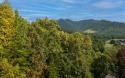 This lot is waiting for you to bring your house plan and begin for sale in Hayesville North Carolina Clay County County on GolfHomes.com