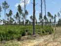 This land has a house pad with the stumps already cleared*this for sale in Sheridan Arkansas Grant County County on GolfHomes.com