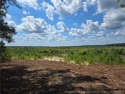 A Gorgeous Lot with an Absolutely Stunning View!  Recently for sale in Woodlake North Carolina Moore County County on GolfHomes.com