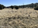Nice Golf Membership lot. Approximate 0.50 acre. Level and for sale in Alto New Mexico Lincoln County County on GolfHomes.com