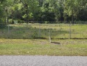 Well established golf club neighborhood. Lot is high and dry for sale in Keystone Heights Florida Bradford County County on GolfHomes.com