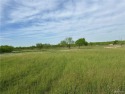 In search for serenity and great views? Look no more! Please for sale in Pharr Texas Hidalgo County County on GolfHomes.com