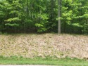 Welcome to Champion Hills, this beautiful 1.36-acre lot is for sale in Hendersonville North Carolina Henderson County County on GolfHomes.com