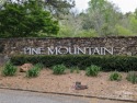 Discover your dream estate on two adjacent lots in Pine Mountain for sale in Connelly Springs North Carolina Burke County County on GolfHomes.com