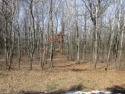 Lakes Course Homesite! Tall poplars in front, the challenging for sale in Nekoosa Wisconsin Adams County County on GolfHomes.com
