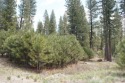 Private estate parcel within Whitehawk Ranch.  10.20 acres for sale in Clio California Plumas County County on GolfHomes.com