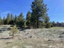 Build the most cozy cabin on this sun filled piece of land for sale in Lake Davis California Plumas County County on GolfHomes.com