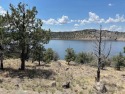Beautiful lake front property close to dam.  Swimming, fishing for sale in Weed California Siskiyou County County on GolfHomes.com