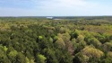 Raw and beautiful 33..02 acres of land for sale a half mile from for sale in Whitesboro Texas Grayson County County on GolfHomes.com