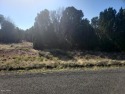 Beautiful 0.44 acre lot in Concho near the Golf Course. This lot for sale in Concho Arizona Apache County County on GolfHomes.com