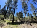 EUREKA, EUREKA! Your new building site for your dream home is for sale in Blairsden California Plumas County County on GolfHomes.com