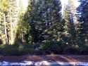 STUNNING HALF ACRE FOXHOLLOW LOT LOCATED BEHIND THE GATES OF THE for sale in Lake Almanor California Plumas County County on GolfHomes.com