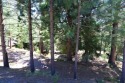 Large, beautiful lot on Osprey Loop in the Westshore for sale in Lake Almanor West California Plumas County County on GolfHomes.com