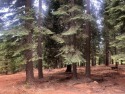 Ultimate Estate Building Site on this 1+ acre homesite nestled for sale in Chester California Plumas County County on GolfHomes.com