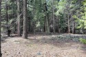 Beautiful one third acre lot nestled in the pines near the top for sale in Graeagle California Plumas County County on GolfHomes.com