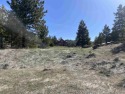 Build the most cozy cabin on this sun filled piece of land for sale in Portola California Plumas County County on GolfHomes.com