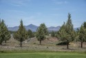  Ad# 6248437 golf course property for sale on GolfHomes.com