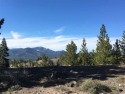 TOP OF THE WORLD VIEWS! This magnificent 10+ acre parcel at for sale in Portola California Plumas County County on GolfHomes.com