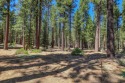Unique nature homesite with preliminary building plans & topo for sale in Truckee California Placer County County on GolfHomes.com