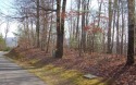 OUTSTANDING VALUE IN THIS GATED GOLF COURSE COMMUNITY! Whether for sale in Hayesville North Carolina Clay County County on GolfHomes.com